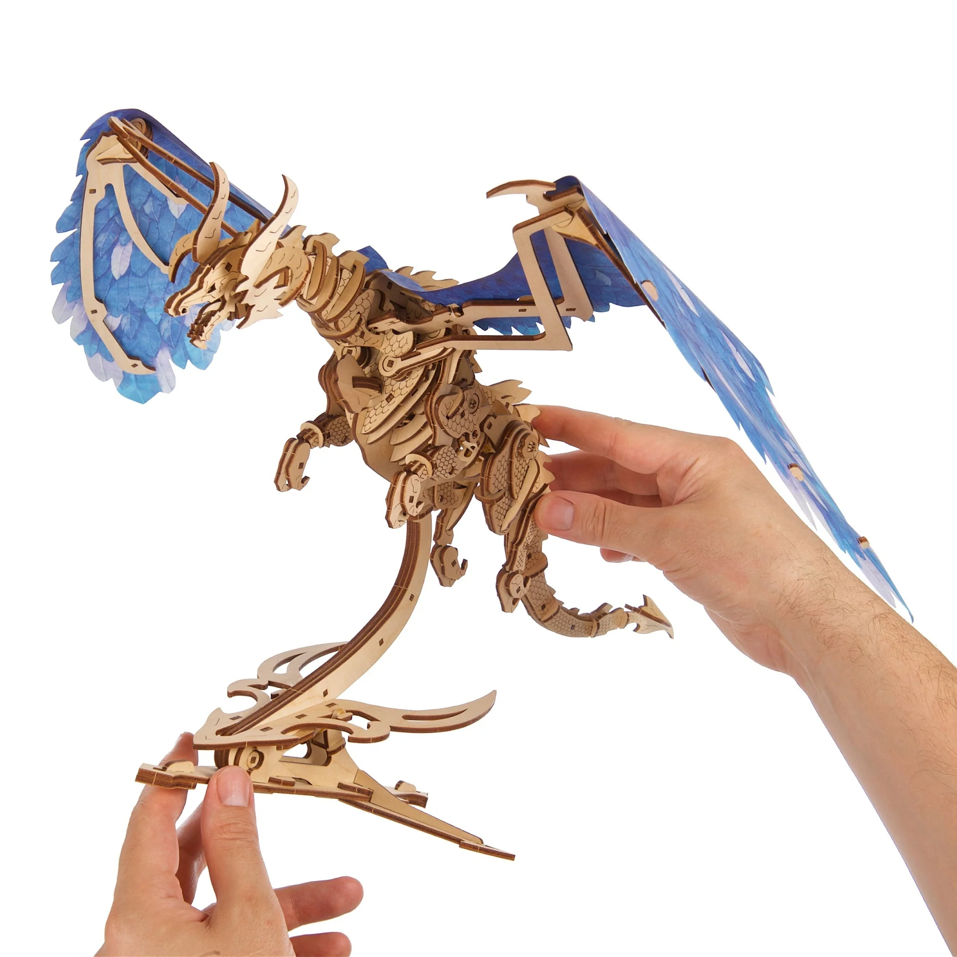 Windstorm Dragon - Image 4