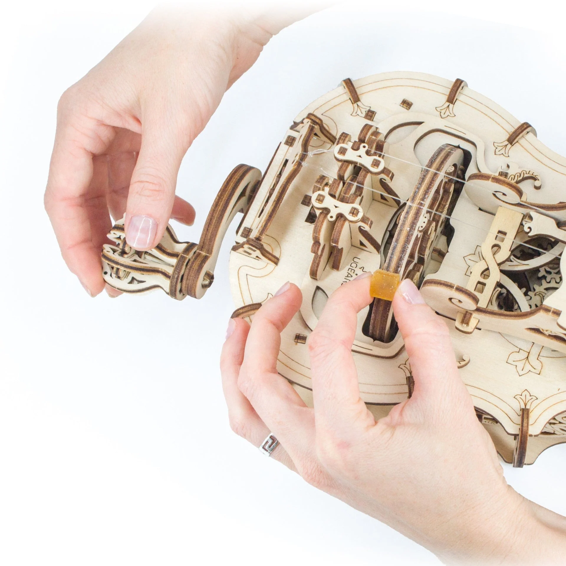Hurdy-Gurdy - Image 4