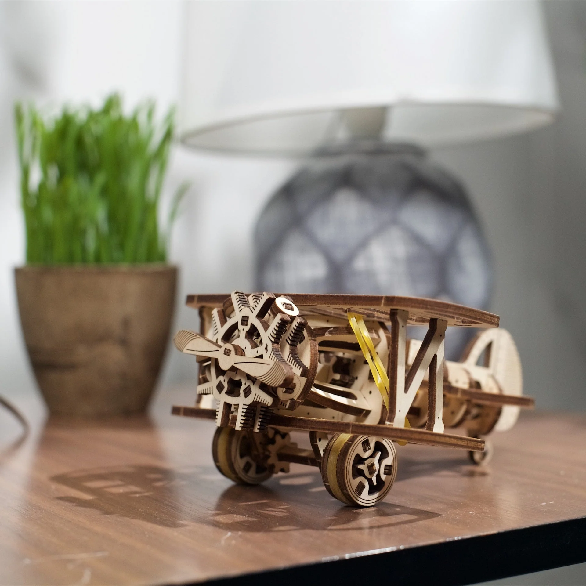 Mini-Biplane - Image 8