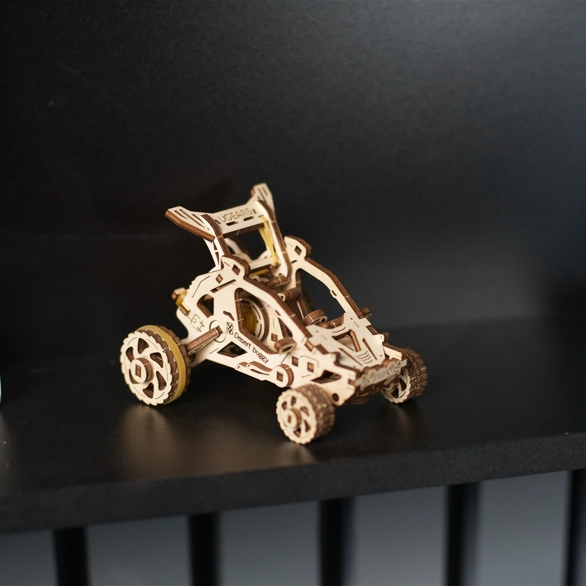 Desert buggy - Image 8