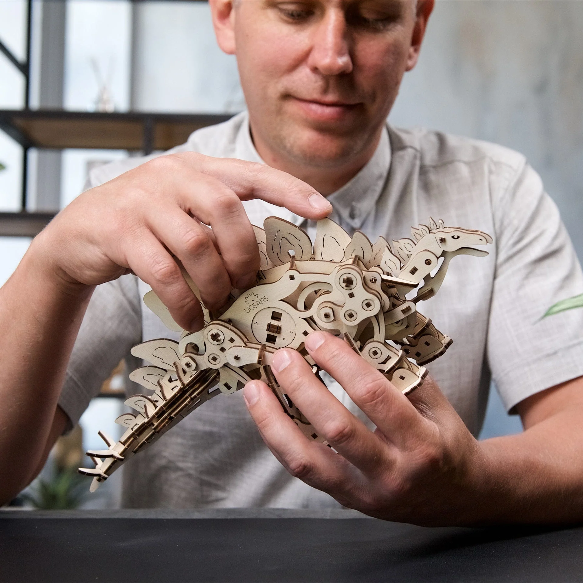Stegosaurus - Image 7
