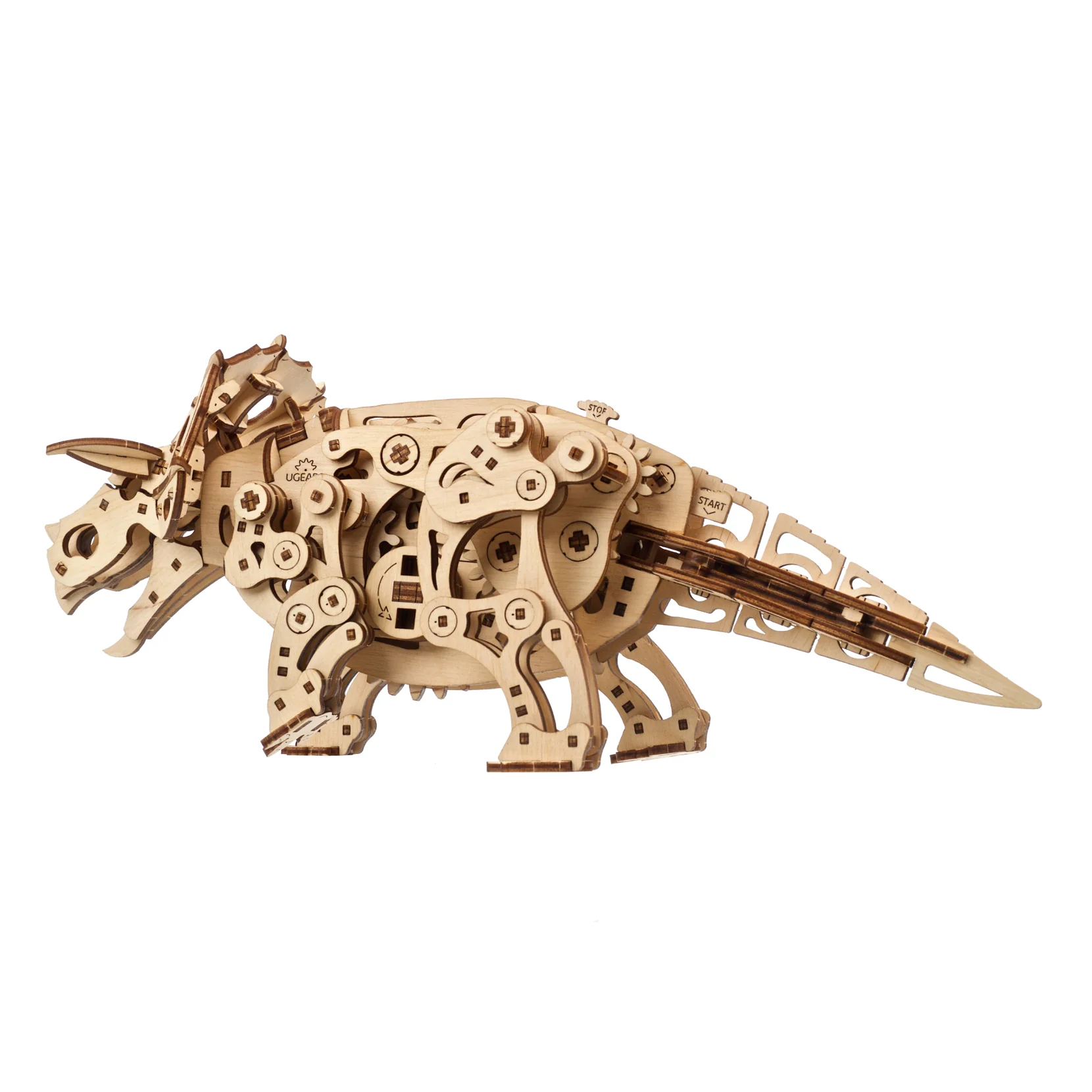 Triceratops - Image 3