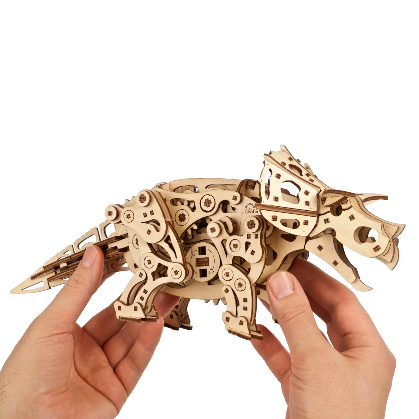 Triceratops - Image 4