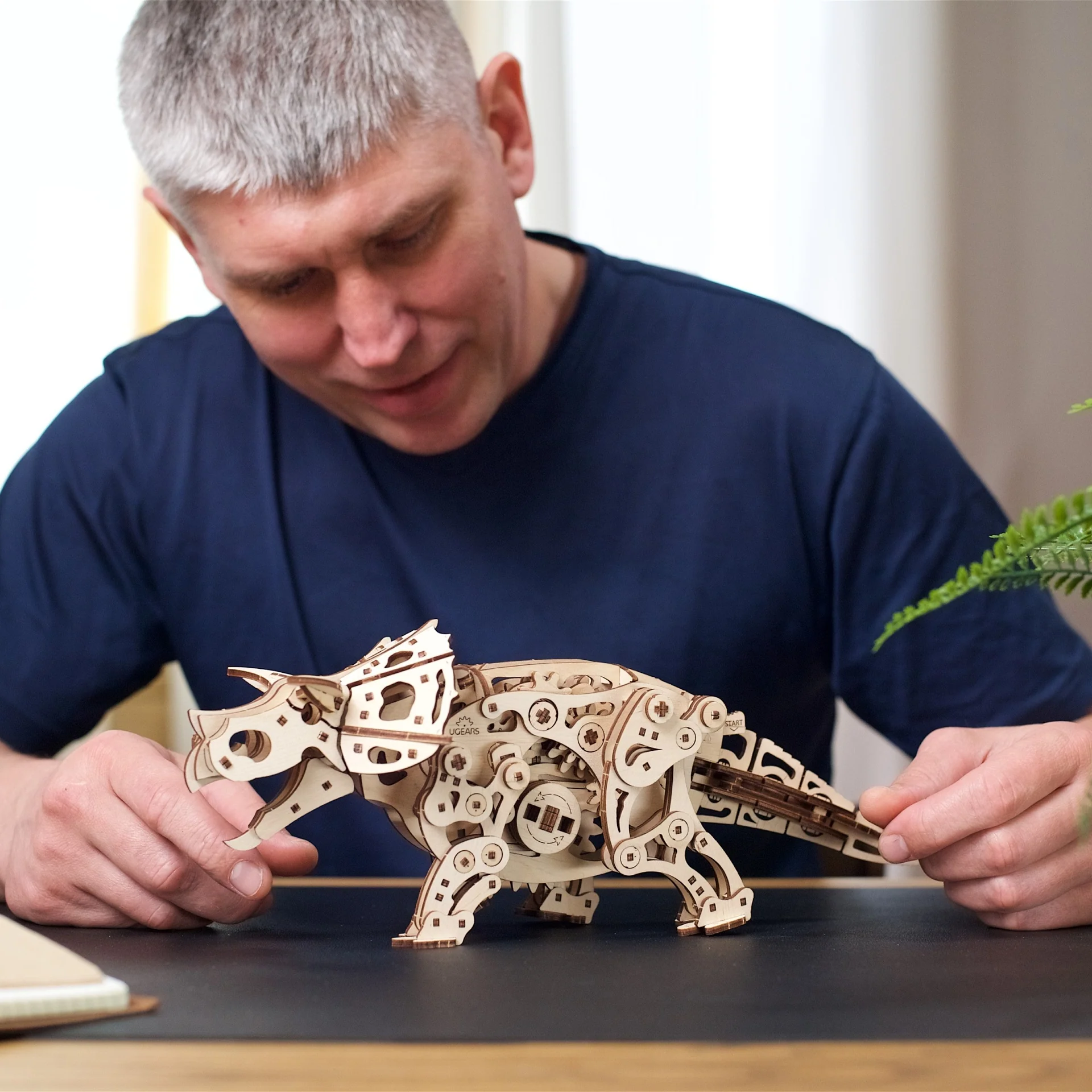 Triceratops - Image 7