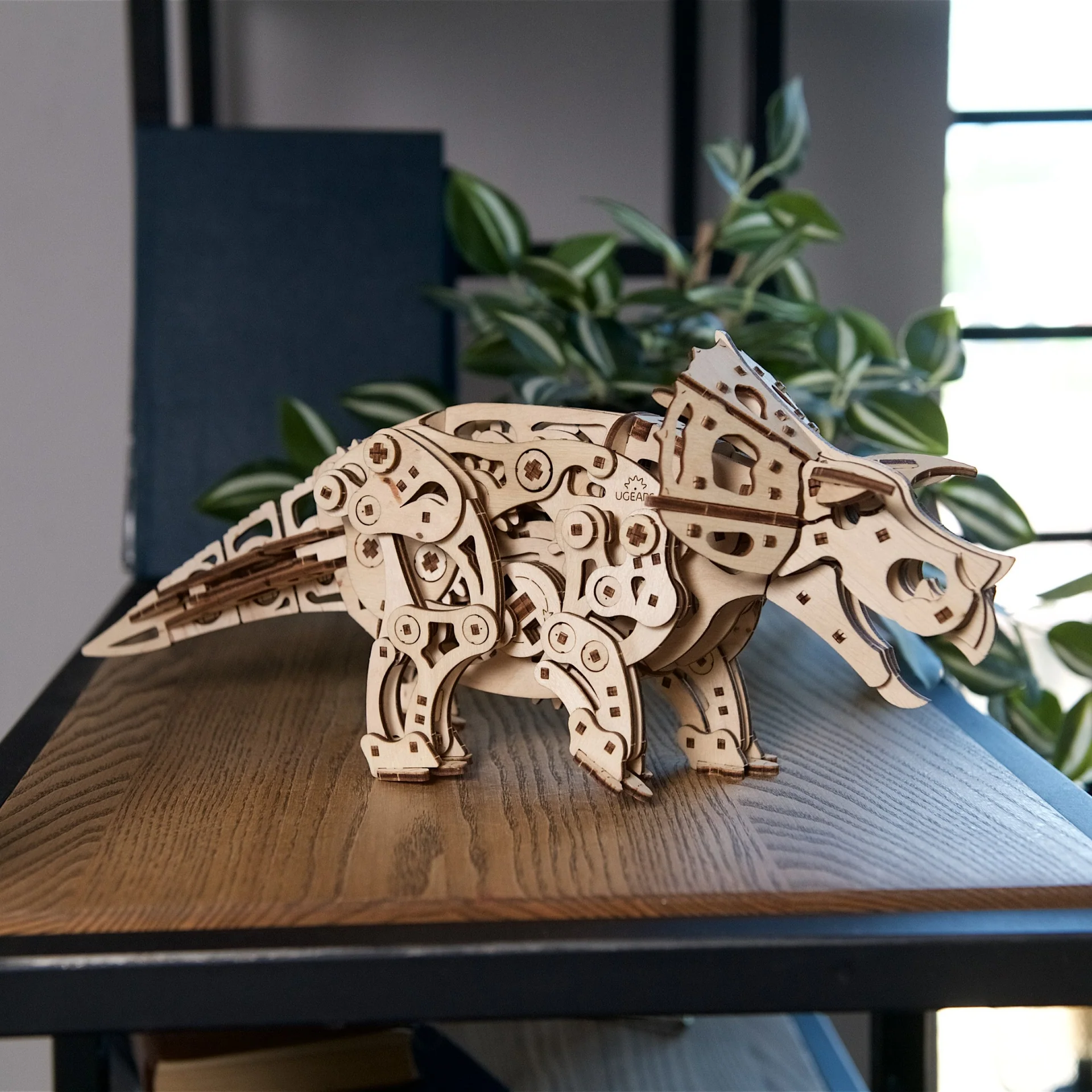 Triceratops - Image 8